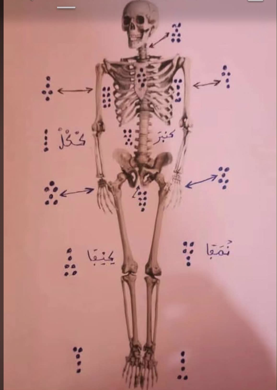 Diagrama de estudo tradicional desenhado à mão
